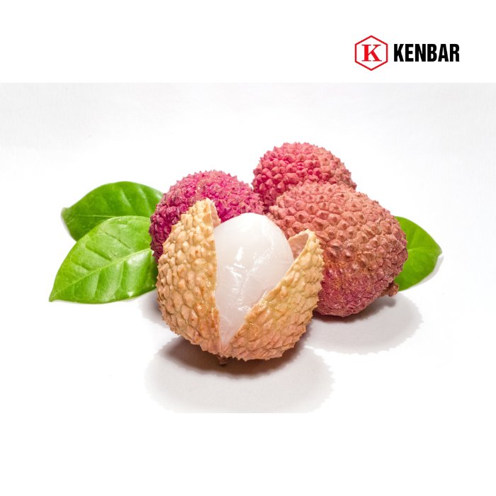 Berrino Sinh tố Vải 2