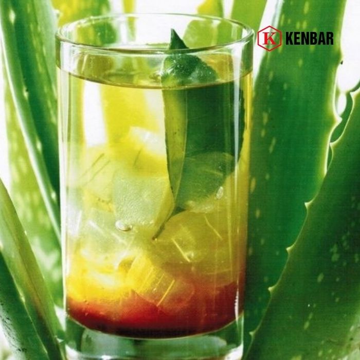 Mứt Osterberg Cam Nha Đam 2