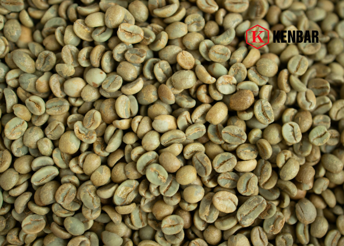 Cà phê Robusta ở Việt Nam có mấy loại_ Phân biệt theo chất lượng
