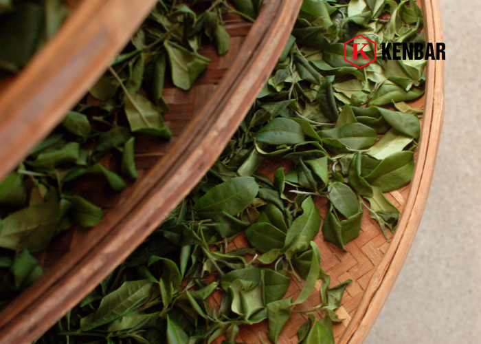 Trà chanh ngon nhờ đâu_ Những yếu tố quan trọng khi pha chế
