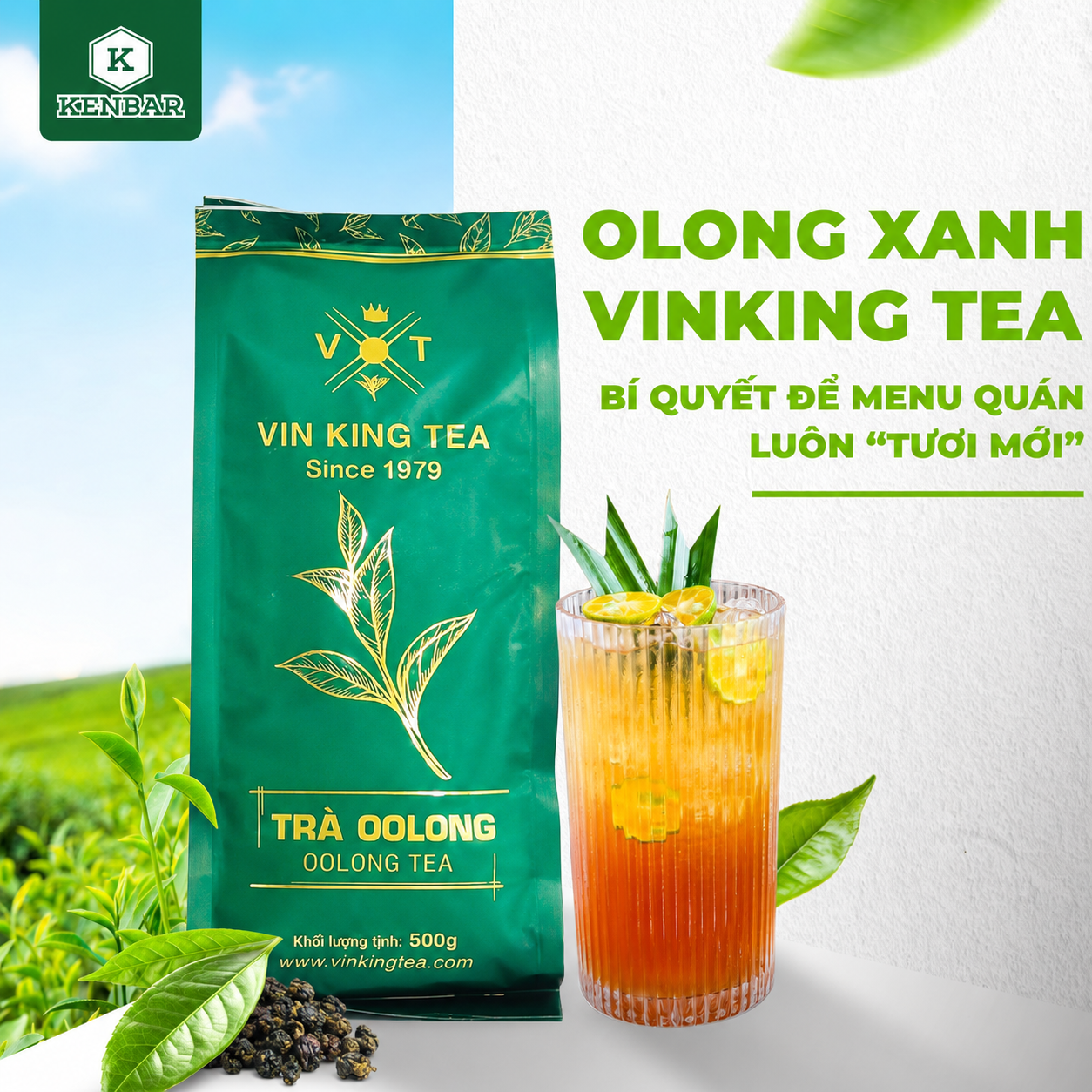 Ủ Trà Olong Xanh